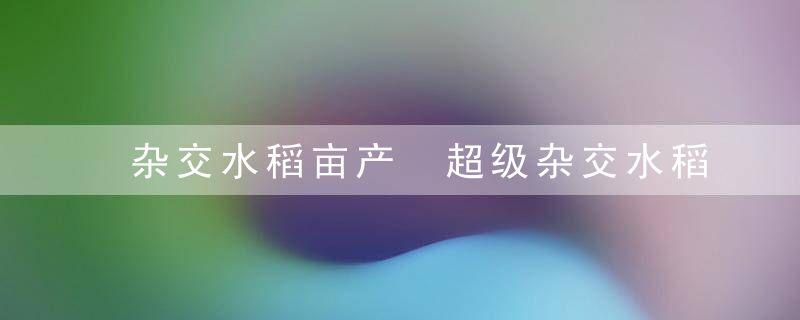 杂交水稻亩产 超级杂交水稻是什么时候研发成功的